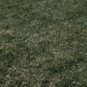 Meet your Posher, Halley